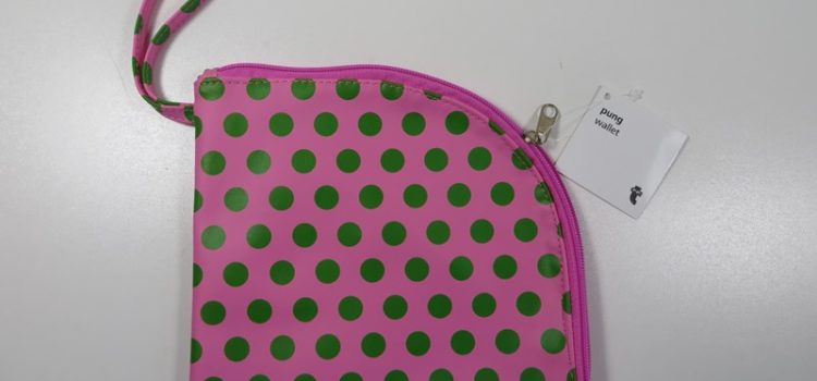 Fehlkauf? – Bringt es wieder zurück! Fehlkauf Tasche