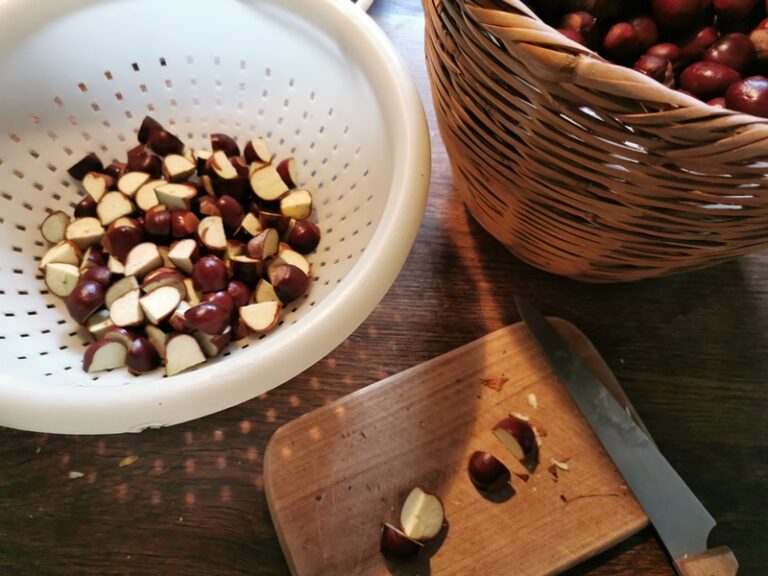 Waschmittel aus Kastanien herstellen