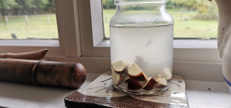 Waschmittel aus Kastanien herstellen waschmittel saponine kastanien aufguss